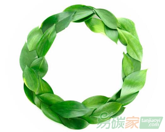 綠色經(jīng)濟(jì)、循環(huán)經(jīng)濟(jì)、低碳經(jīng)濟(jì)，三者之間究竟是什么關(guān)系？