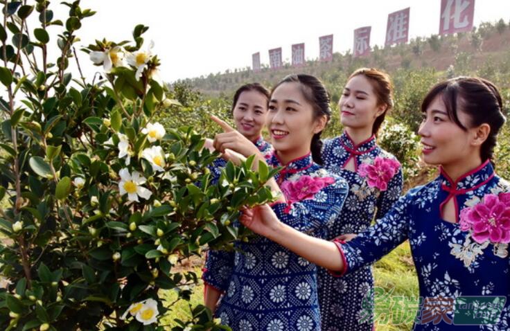 國家林草局：鼓勵商業(yè)性金融機構發(fā)展林權抵押等多項貸款
